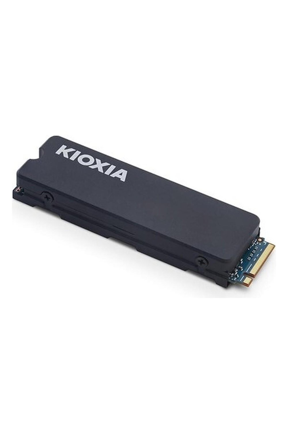 exceria-nvme-2tb-ssd-m--eca1-.jpg