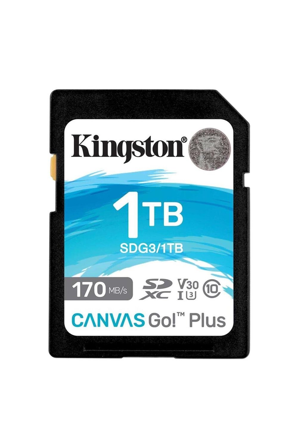 sdg3-1tb-1tb-sdxc-canvas-go-plus-170r--7-b4bc.jpg
