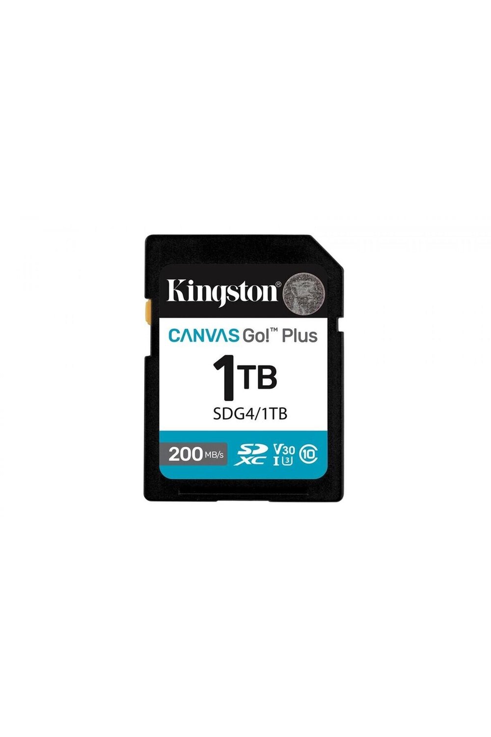sdg4-1tb-1tb-sdxc-canvas-go-plus-gen4--4-10d3.jpg