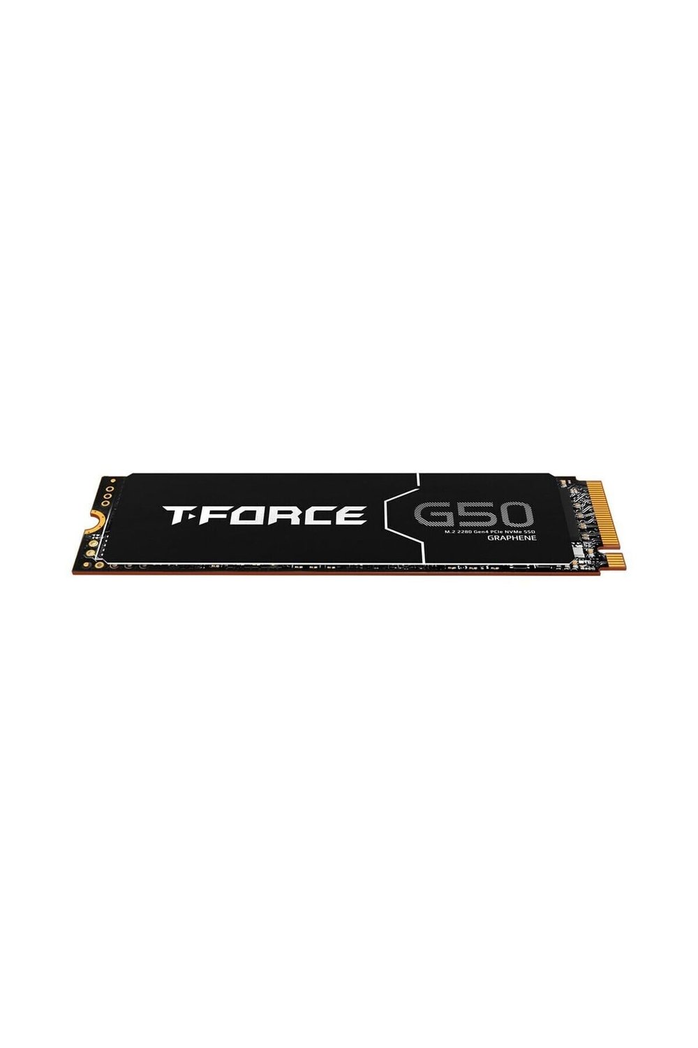 t-force-m-c50546.jpg