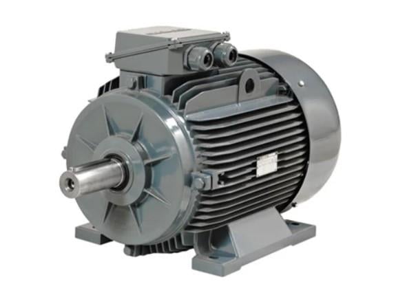 37 kW 3000d/d GM3EL 200 L 2b Asenkron Motor