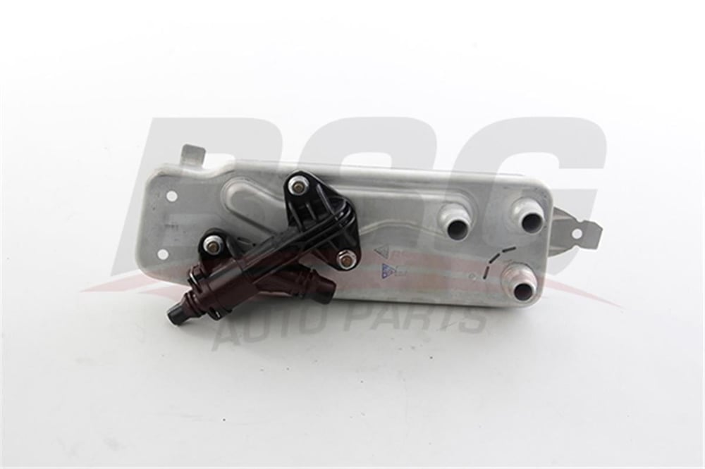 BMW BSG BSG 15-507-007 SANZUMAN YAG SOGUTUCU 10-17 F06-F07-F10-F11-F18-6F12-F13-F01-F02-F04 N55-N63