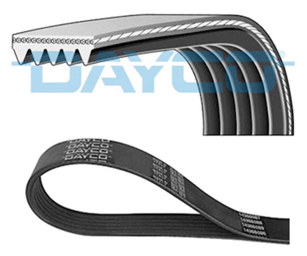 BMW DAYCO DAY 5PK2020S V KAYISI 99-07 X5 E53 M57N