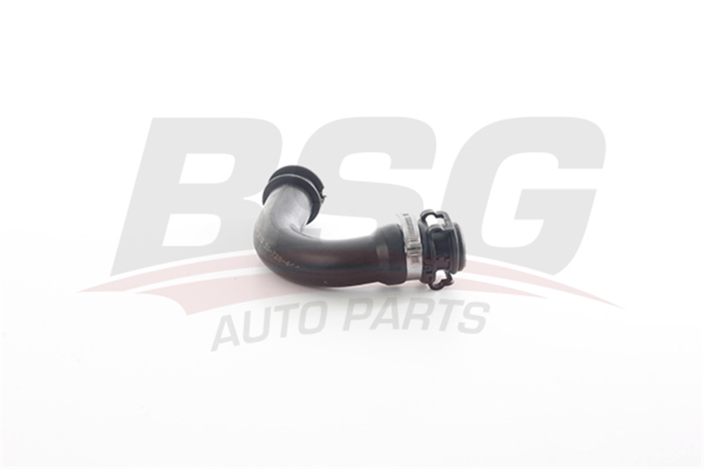 FORD BSG BSG 30-720-441 HAVA FILTRE BORUSU 08- FIESTA BM