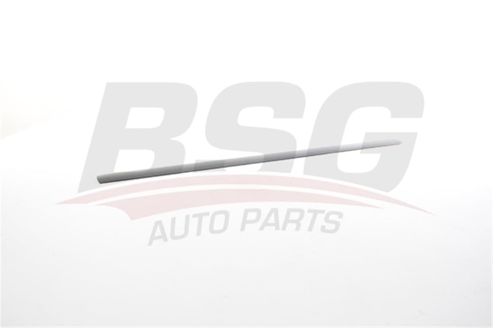 FORD BSG BSG 30-924-063 KAPI BANDI ÖN SAG 03- CONNECT BM