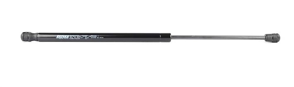 FORD BSG BSG 30-980-007 BAGAJ AMORTISÖRÜ 03- C-MAX BM
