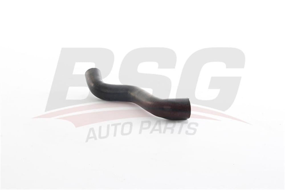 MERCEDES BSG BSG 60-720-089 YAG SU ARA HORTUMU 06-
