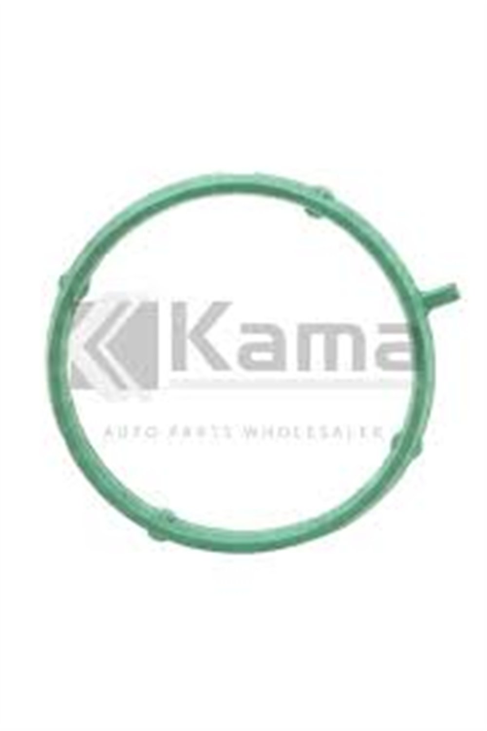 OPEL SEAL RING 4802059