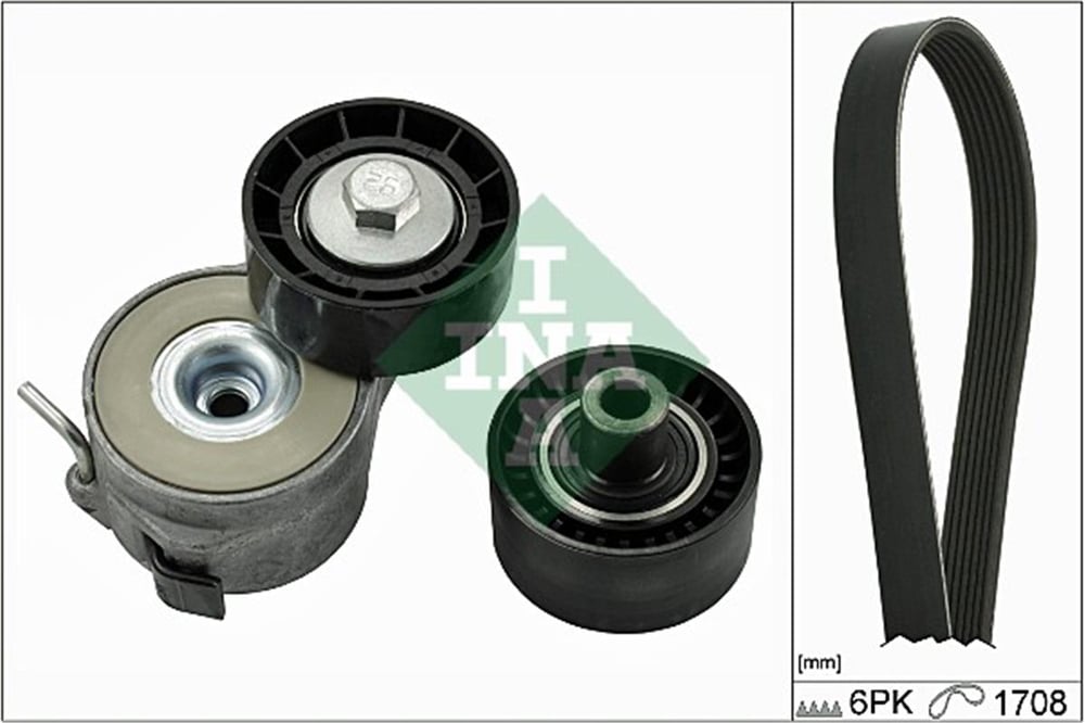 PSA INA INA 529 0046 10 V KAYIS SETI 02-