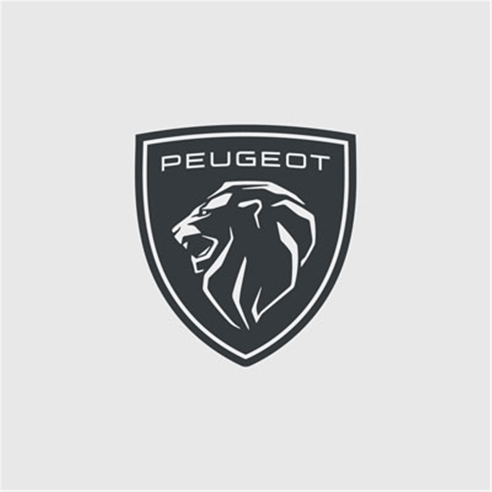 PSA RIFTER 2018 SONRASI ÇEKI DEMIR KAPAGI