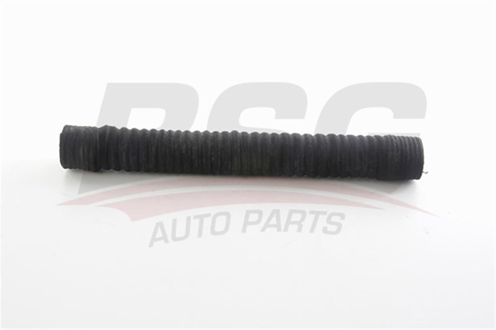 RENAULT BSG BSG 75-700-164 HAVA FILTRE HORTUMU 99- MEGANE I 1.6 e (BA0F, BA0S)