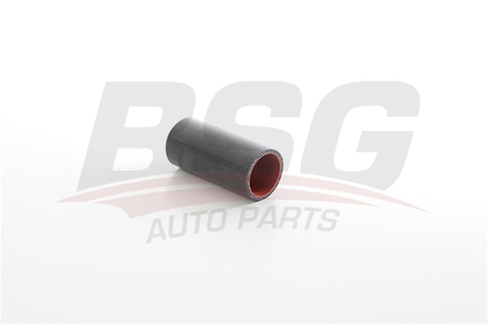 RENAULT BSG BSG 75-720-163 TURBO HORTUMU 08- LOGAN I 1.5 DCI