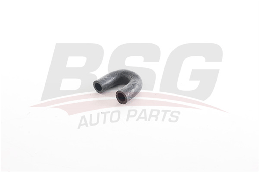 RENAULT BSG BSG 75-720-326 SU HORTUMU 82- R9/R19 BM