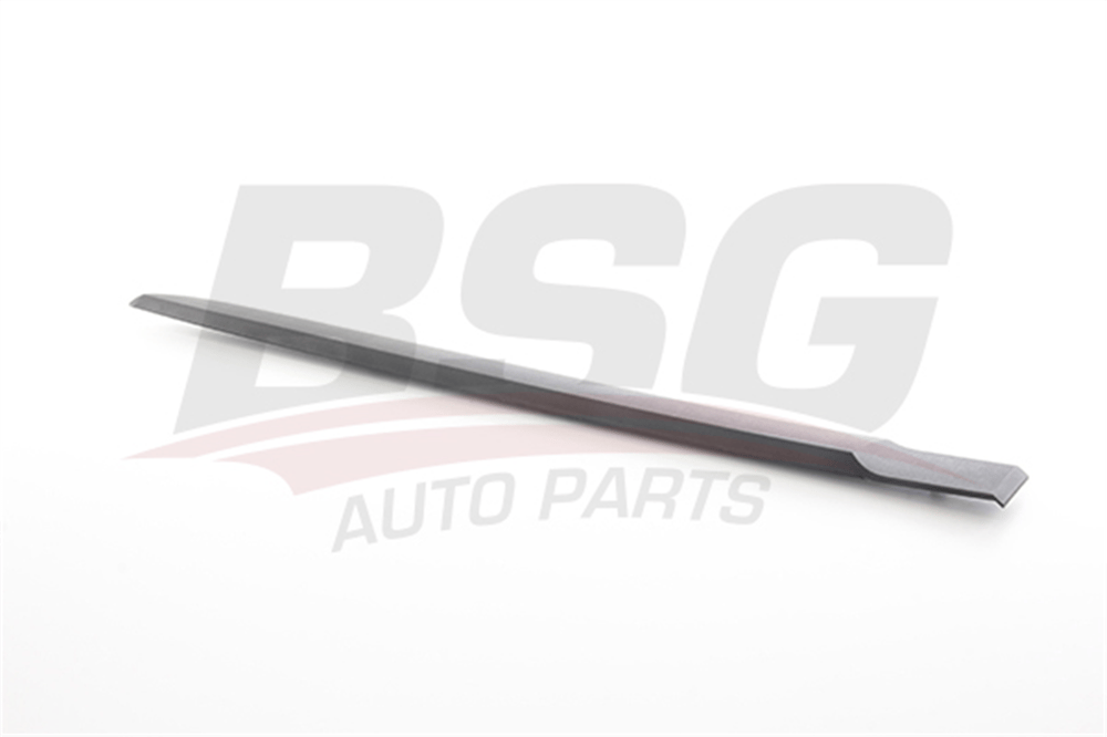 RENAULT BSG BSG 75-924-010 KAPI BANDI ARKA SOL 03-05 MEGANE II BM