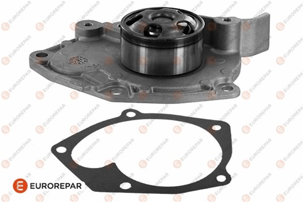 RENAULT EUROREPAR 1682241180 DEVIRDAIM 09- MEGAN III / SCENIC III 1.9 dCi