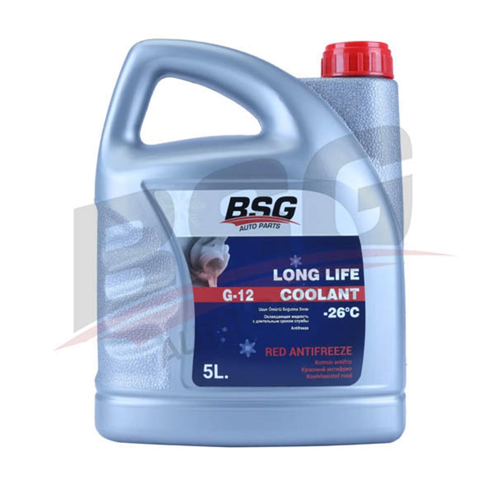 UNI BSG BSG 99-994-010 ANTIFRIZ BM BM BM