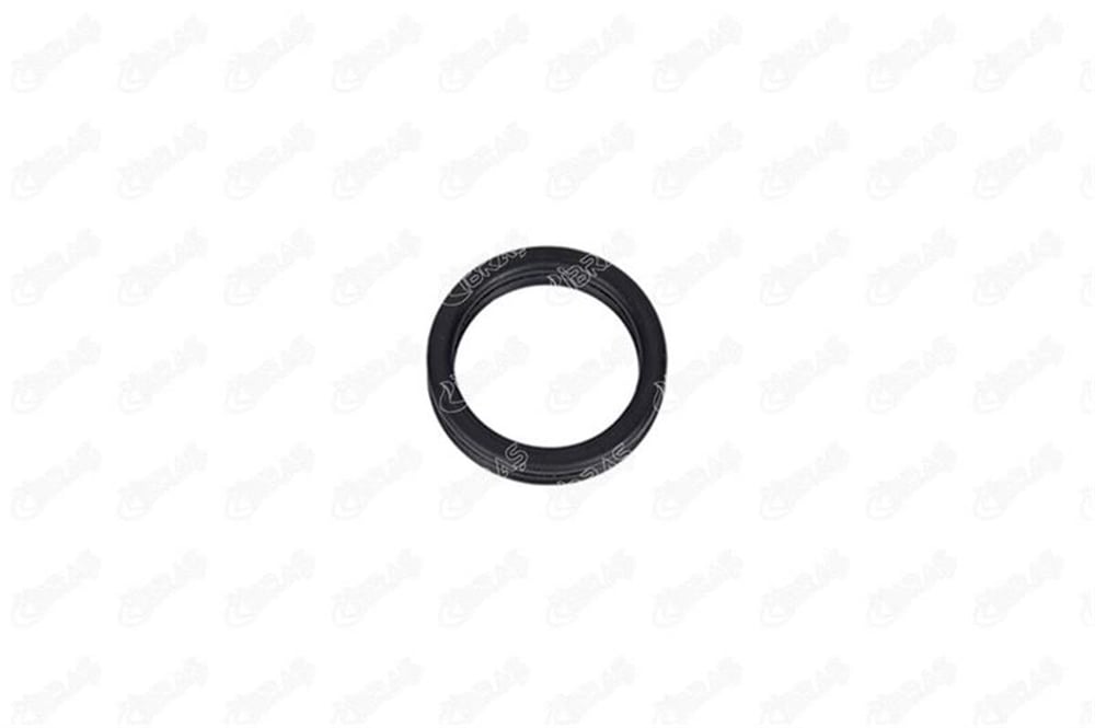 VW IBRAS IBR 28065 ORING 97- UNIVERSAL BM