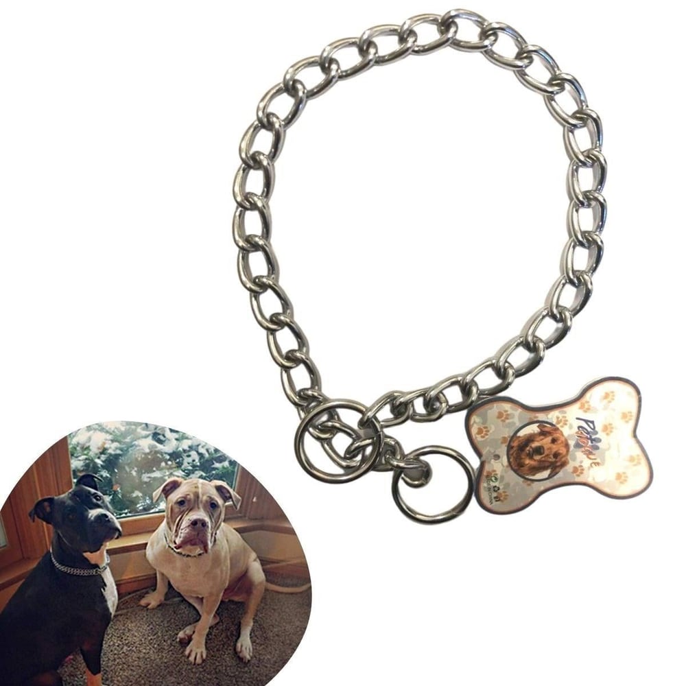Çarşı Point® 65 cm Uzunlukta Zincir Model Köpek İçin Boyun Tasması