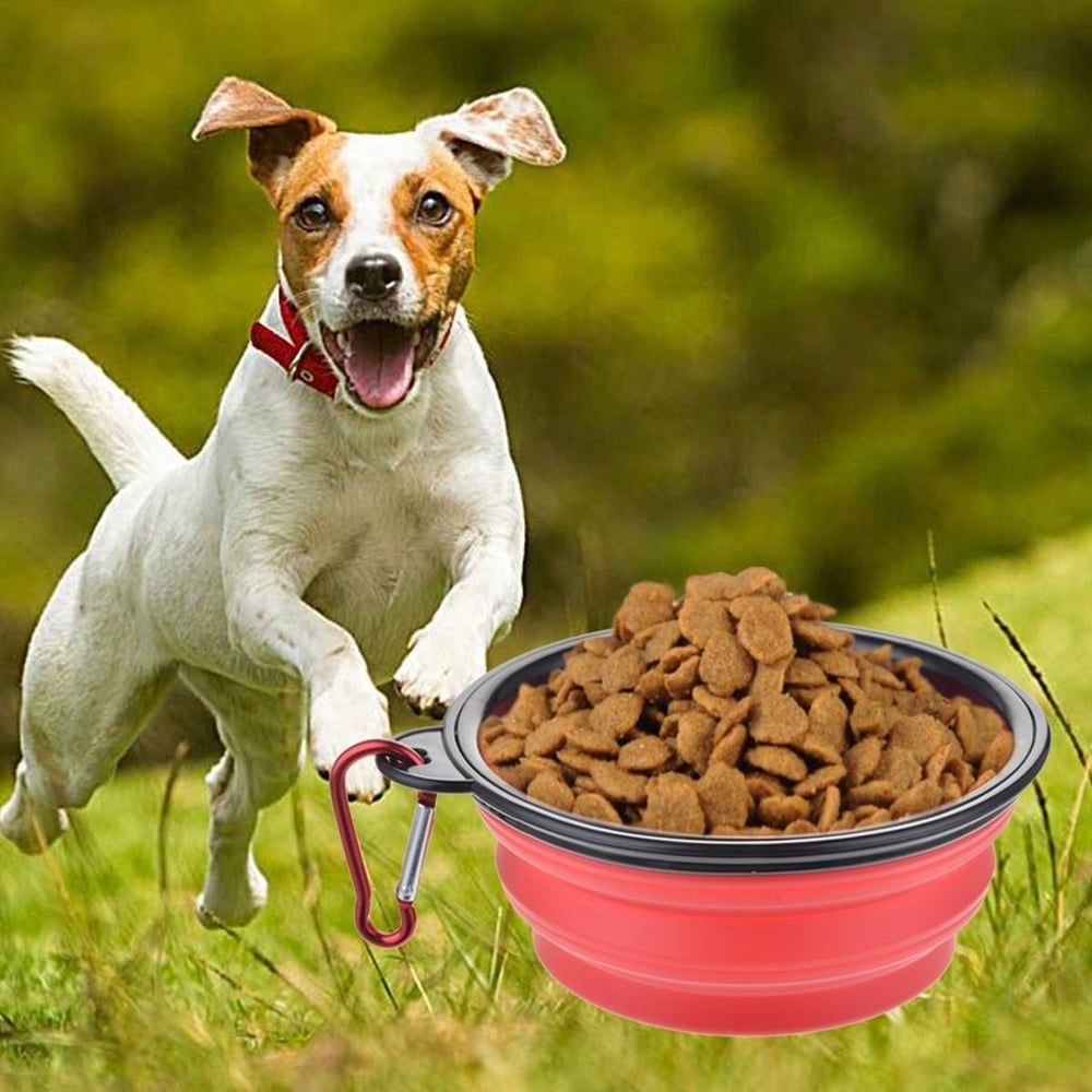 Çarşı Point® Katlanabilir Kedi Köpek Mama ve Su Kabı Köpek Oyuncağı