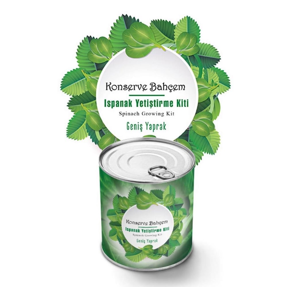 Çarşı Point® Konserve Bahçem Evde Konservede Kolay Ispanak Yetiştirme Kiti