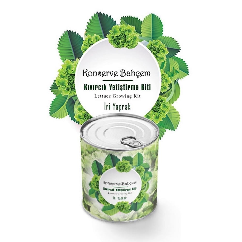Çarşı Point® Konserve Bahçem Evde Konservede İri Yapraklı Kıvırcık Yetiştirme Kiti