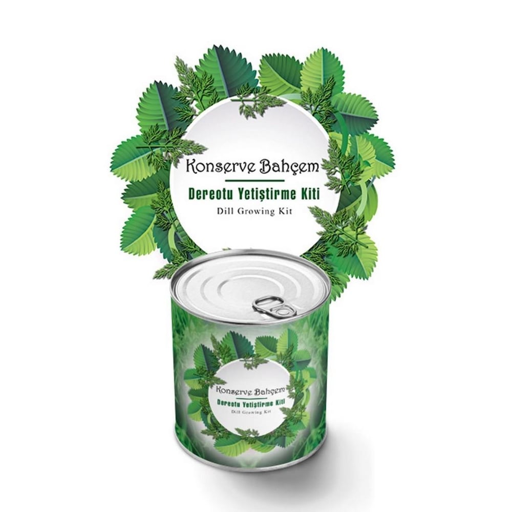 Çarşı Point® Konserve Bahçem Evde Konservede Dereotu Yetiştirme Kiti Aparatı