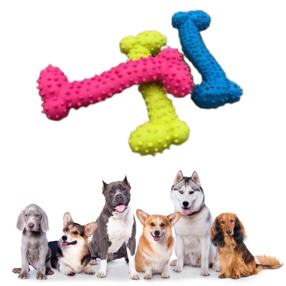 Çarşı Point® Tiny Kemik Oyuncağı Tırtıklı Yüzey Küçük Kemik Plastik Köpek Oyuncağı