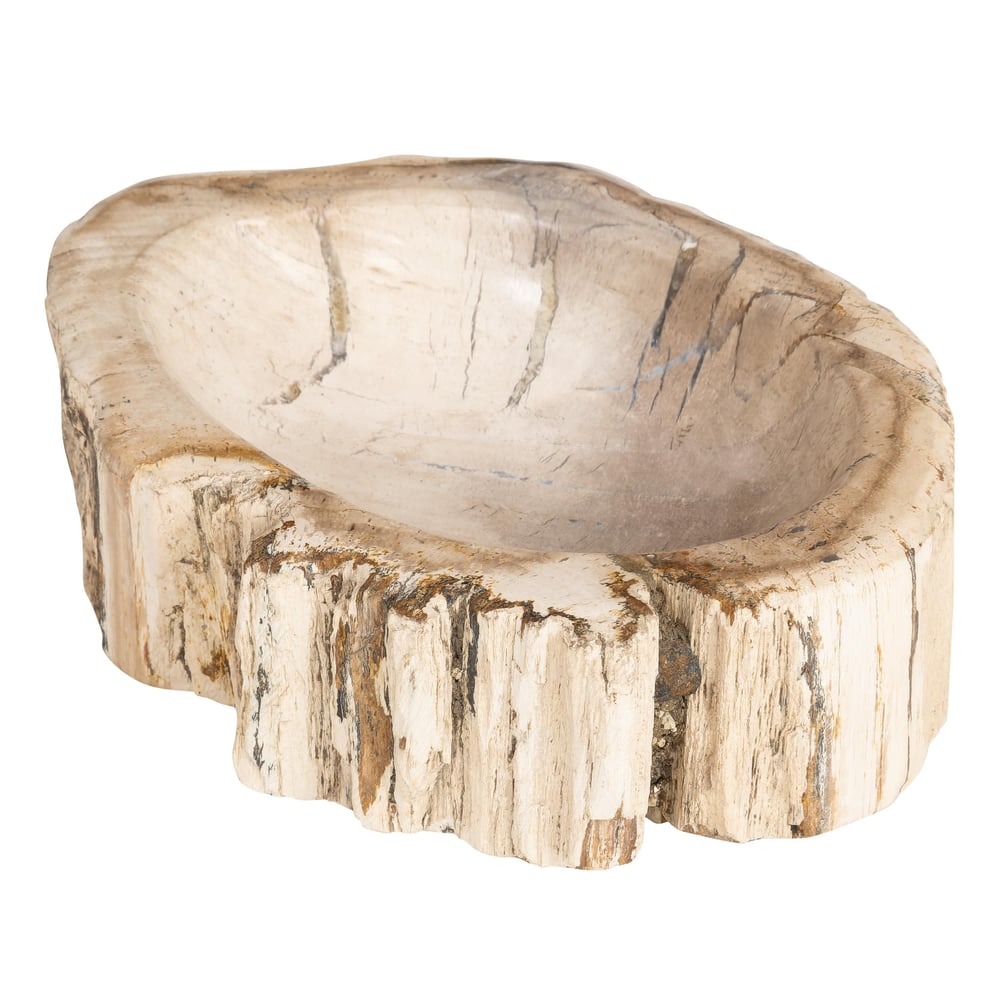 Dekoratif Bowl Fosil Ağaç - 22 cm x 16 cm x 5 cm