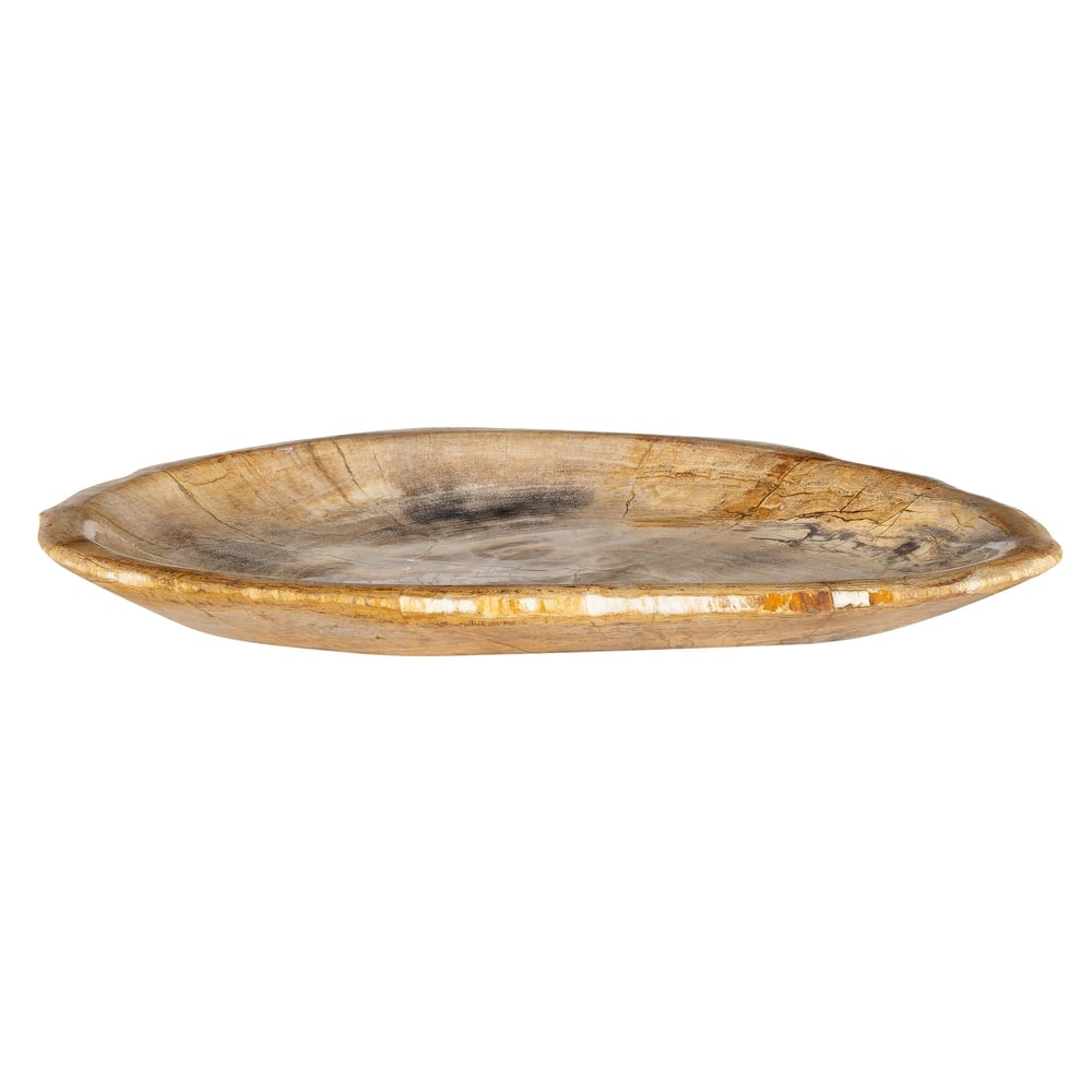 Dekoratif Bowl Fosil Ağaç -34 cm x 20 cm x 2 cm