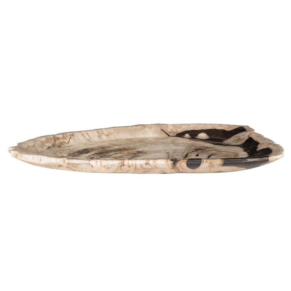 Dekoratif Bowl Fosil Ağaç -40 cm x 28 cm  x3 cm