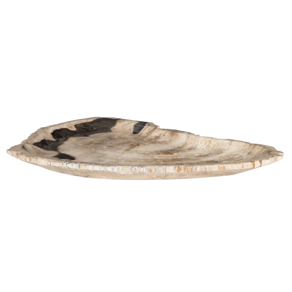 Dekoratif Bowl Fosil Ağaç -43 cm x 30 cm  x 4 cm