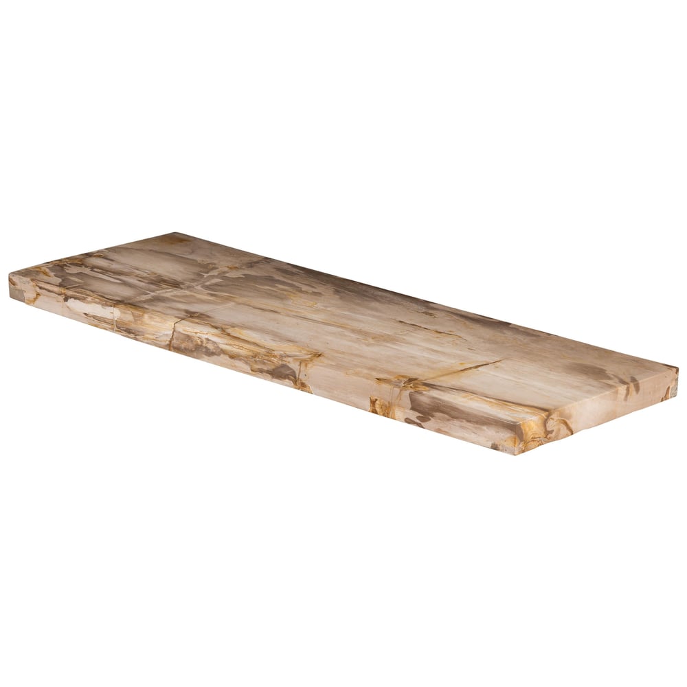Konsol Fosil Ağaç -117 cm x 40 x 5 cm