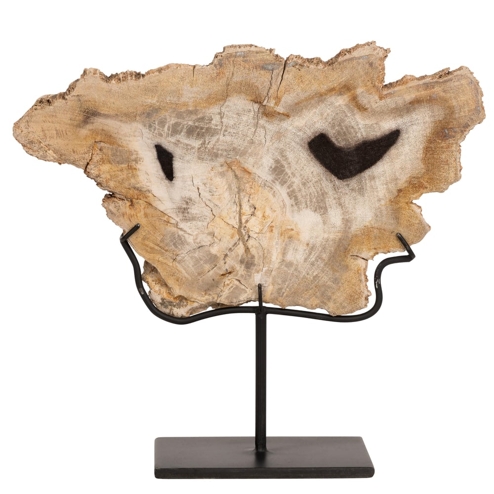 Standlı Dekoratif Aksesuar Fosil Ağaç-18 cm x 19 cm