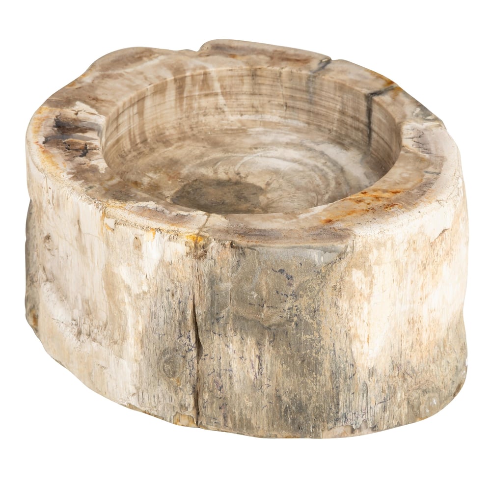 Yuvarlak Mumluk Fosil Ağaç - 12 cm x 7 cm