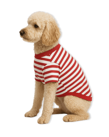 Kırmızı Beyaz Çizgili Köpek Tshirtü