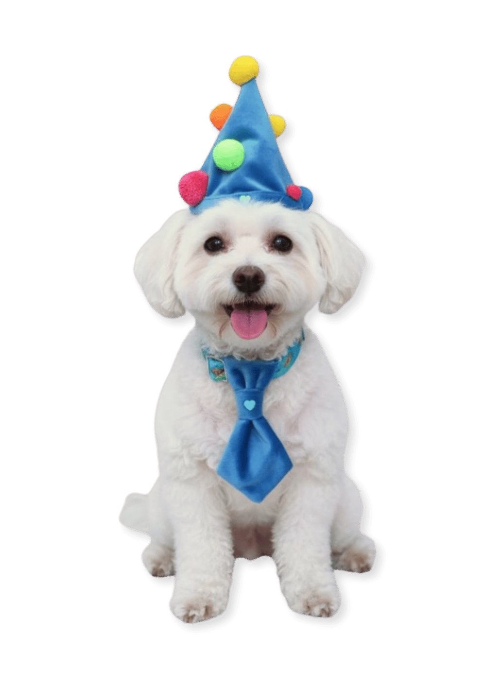 Kravatlı Köpek Doğum Günü Seti