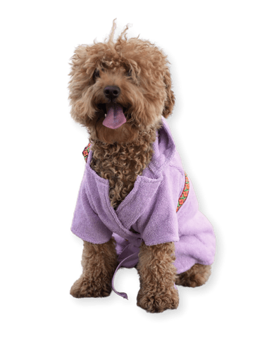 Lila Havlu Köpek Bornozu – Su Emici & Hızlı Kurutucu