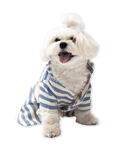 MAVİ ÇİZGİLİ Peştemal Köpek Bornozu – Plaj & Ev Kullanımı