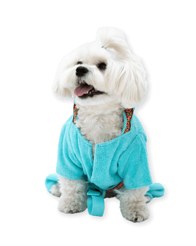 MAVİ HAVLU Köpek Bornozu – Su Emici & Hızlı Kurutucu