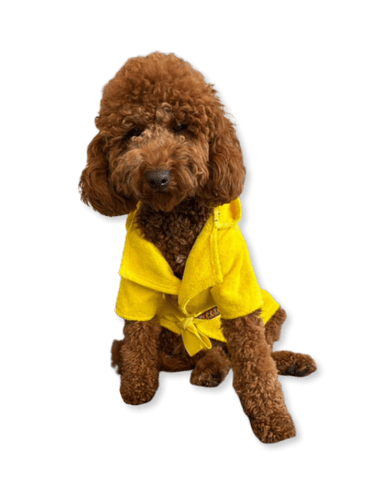SARI HAVLU Köpek Bornozu – Su Emici & Hızlı Kurutucu