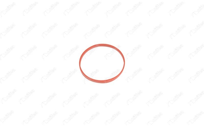 Emme Manifold Oringi Transit V.363 V362 12> Nıfea 19357