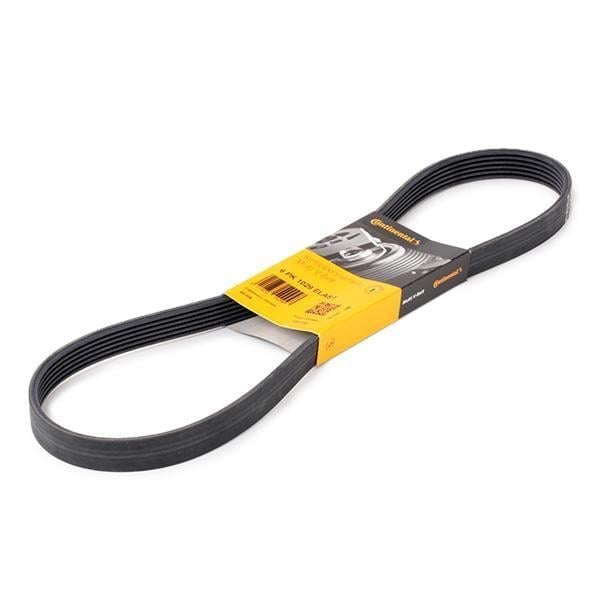 Ford Focus 2011-2018 1.6 Benzinli V Kayısı Contınental Ctam 6Pk1029elast