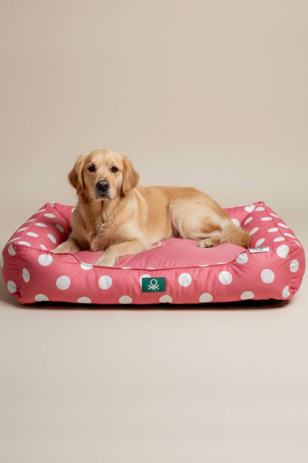 BNT-B2511-A Kedi & Köpek Yatağı  PUANTİYELİ PEMBE 60x40 cm