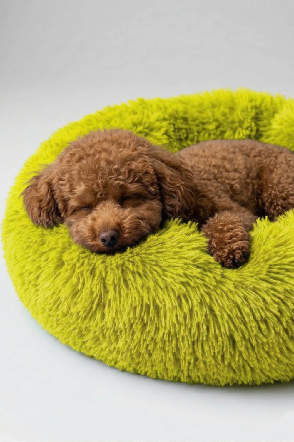 BNTMKT-0012-YE Uzun Kürklü Donut Kedi&Köpek Yatağı SARI 45 CM
