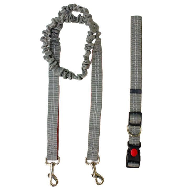 Ally Paws Koşu ve Yürüyüş Kayışı Eller Serbest XL - 25mmx125-175cm