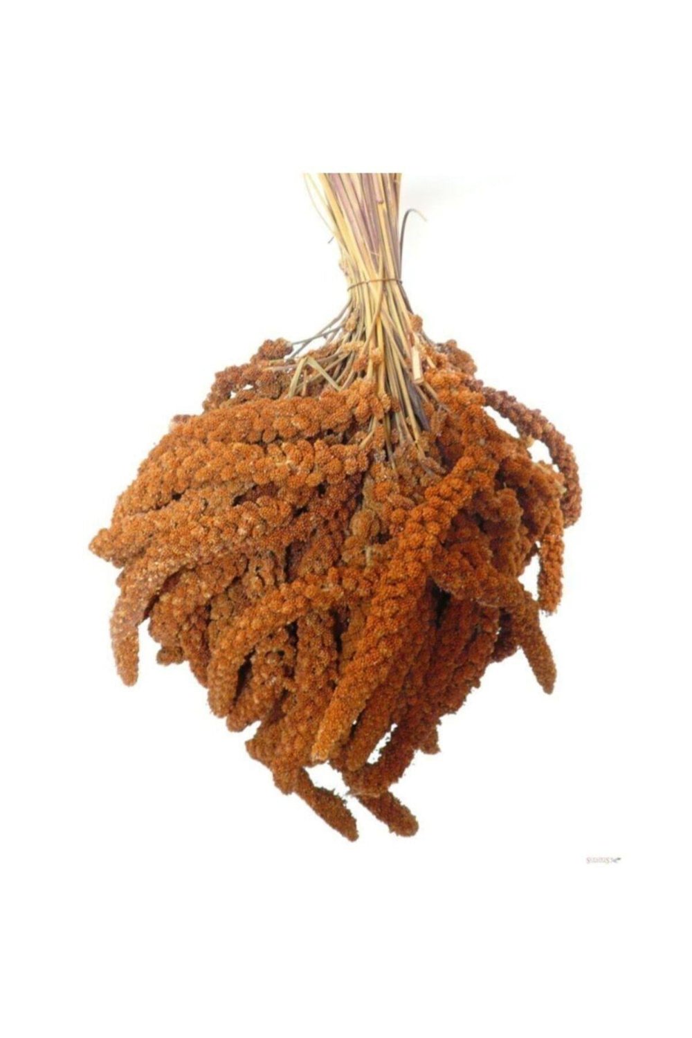 kizil-dal-dari-yerli-uretim-yeni-mahsu-784a-4.jpg