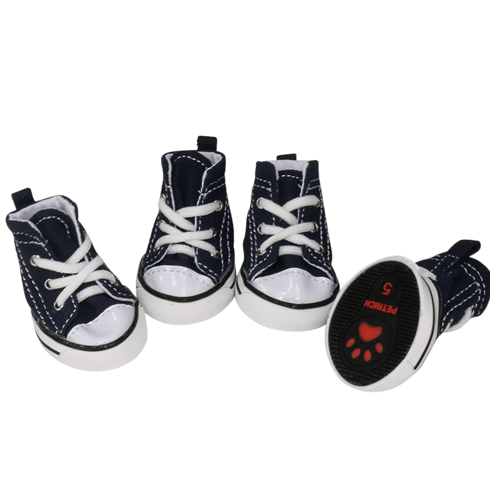 Petrich Converse Köpek Ayakkabı (no:2)