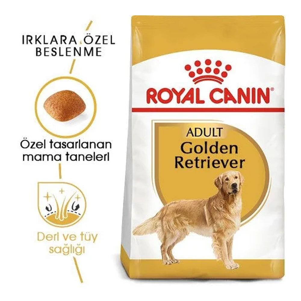 Royal Canin Golden Retriever Yetişkin Köpek Maması 12Kg