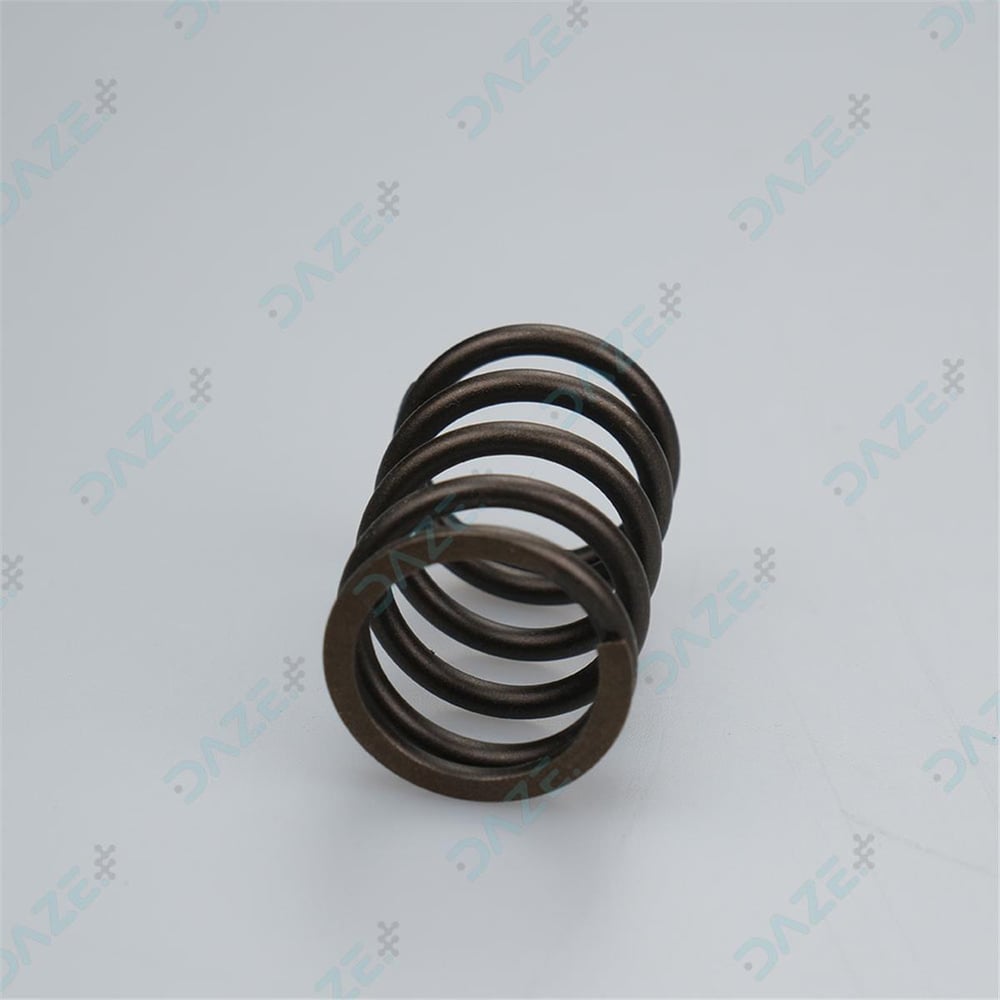 D12000i - Valve Spring (ZS) - Daze Tarım