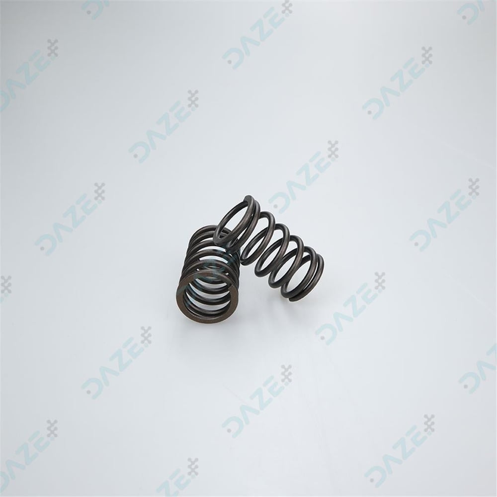 D9000i - Valve Spring - Daze Tarım